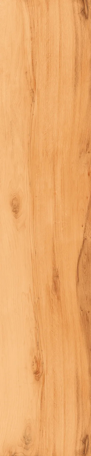 Carpatos