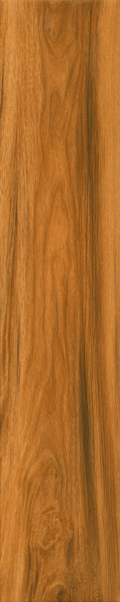 Orinoco