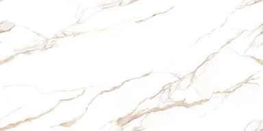 Regal Saturaio